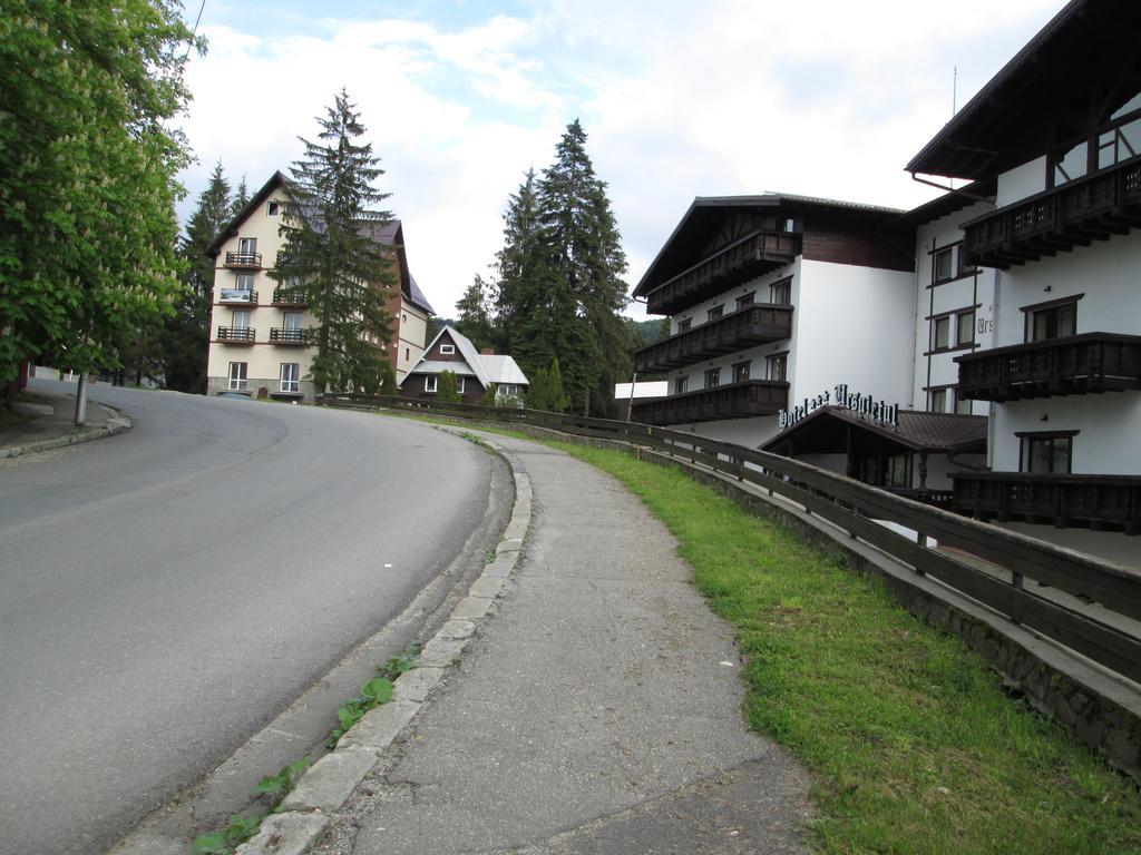 Ferienwohnung Cioplea Residenz Predeal Zimmer foto